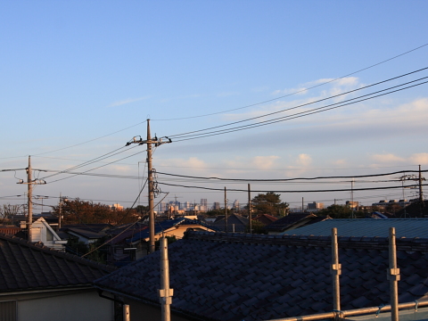 東京都庁が見える