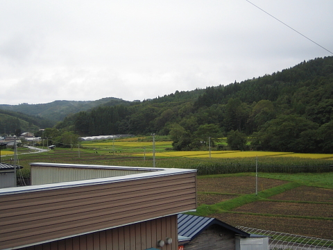 西側の景色